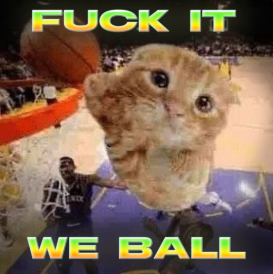 CATDUNK.PNG